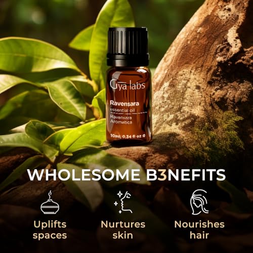 Image of 100% Pure Ravensara Essential Oil - 0.34 Fl Oz - Ravensara Oil for Hair, Skin, Diffuser, Aromatherapy & DIY Candle Making Scent