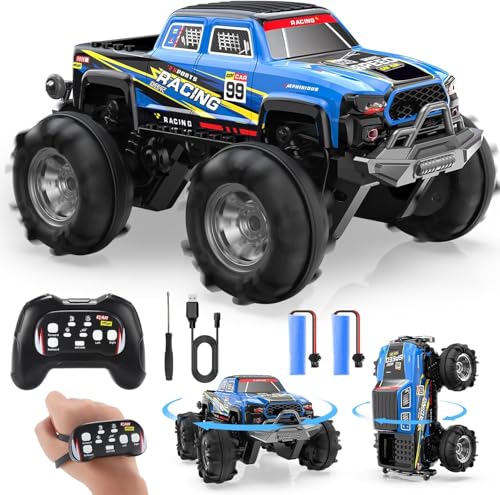 DEERC Amphibischer RC-Monstertruck/Boot, IPX7 wasserdichtes...