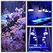 LED Aquarium Lights Bulb 18W Saltwater Fish Tank Light Full Spectrum Aquatic Plants Grow Lamp Refugium Light with UV Blue White Red Green LEDs Reef Lights for Coral Marine Algae Turtle Habitat