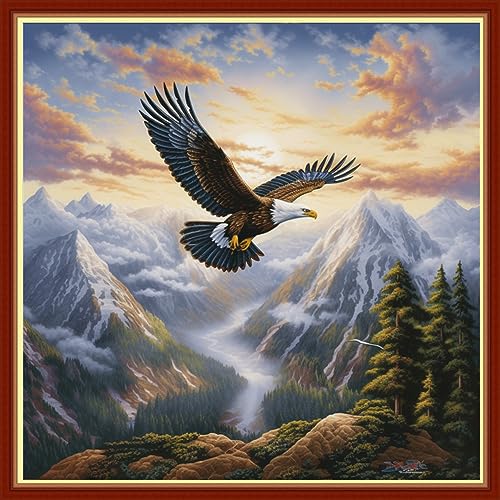 Image of Findvoor Stamped Cross Stitch Kits for Beginners Full Range of Cross Stitching Embroidery Pattern for Adults, 11CT DIY Needlepoint Embroidery Starter Kits-Flying Eagle 17.7x17.7 inch