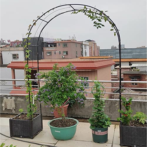 Arco da Giardino Telaio in Metallo 120CM 140CM 160CM 180CM 200CM 240CM 280CM 350CM Largo Arco per Rose Rampicanti con Basi, Facile Montaggio, Piante Rampicanti Supporto Traliccio Pergolato (Size : 14