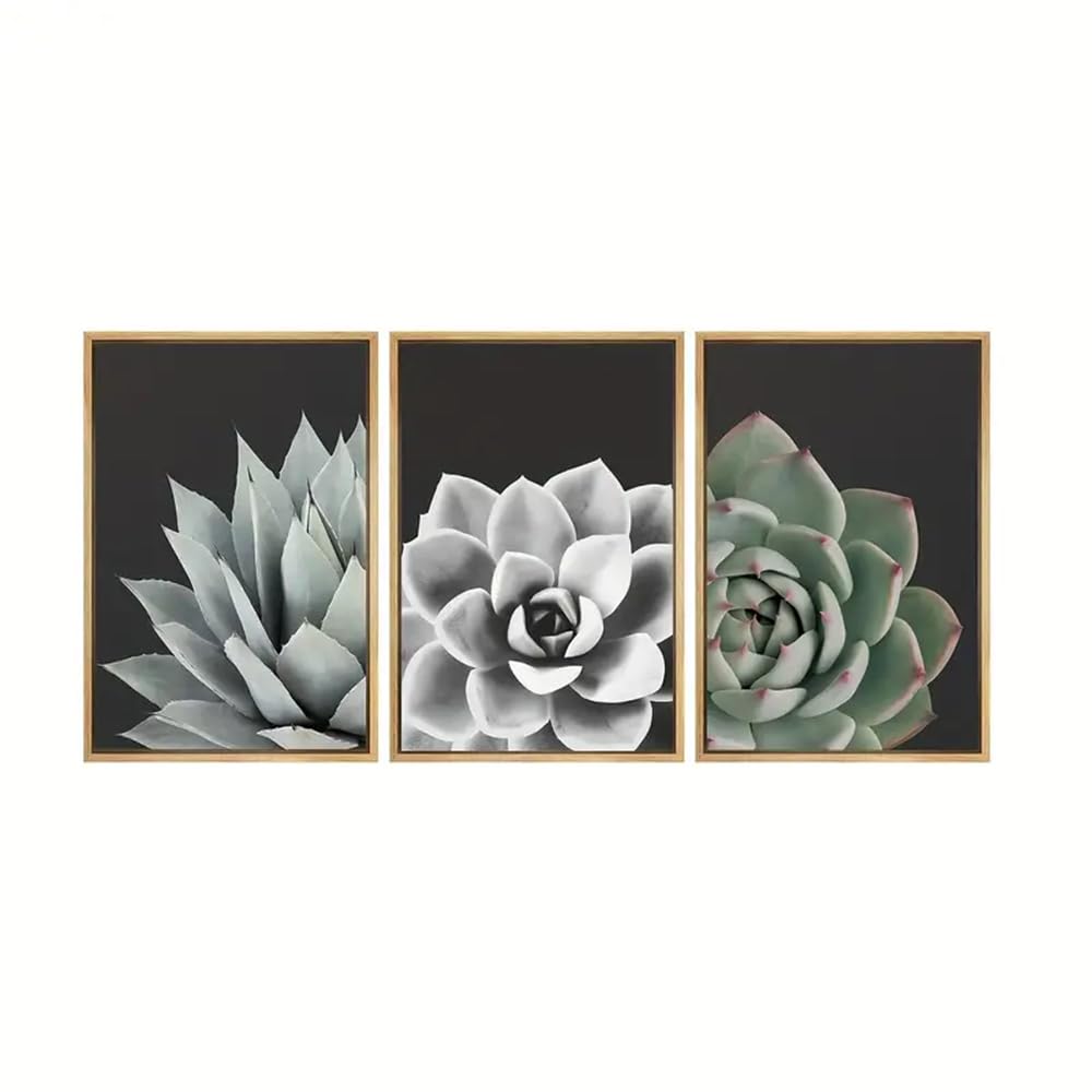 Wbyzac Green Botanical Posters-Canvas Poster, Modern Art, Desert Rose Succulent Set Nature Plants, For Bedroom Living Kitchen Room Corridor, Wall Art, Room Decoration-60 * 70Cm*3Pcs (No Frame)
