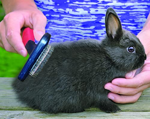 Lixit Grooming Kits For Rabbits, Guinea Pigs And Other Small Animals. (Shredding Brush Only) #TOP2
