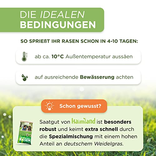 Foto von Rasensamen schnellkeimend Herbst 2,5kg = 75-100m² Grassamen Rasensaat Rasen Nachsaat Rasensamen Nachsaat Rasennachsaat Trockenrasen & Turbo Regeneration für dichte Grasnarbe