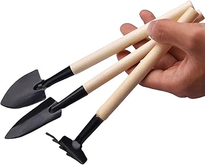 Mini Garden Tool Set of 3, Indoor Hand Planting Tools Small Spade Rake Succulent Soil Tools for Transplanting Seedlings, Vegetable Seedlings