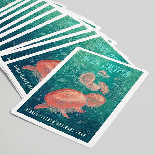 Naipes Virgin Islands National Park, 52 cartas póker miniatura 5