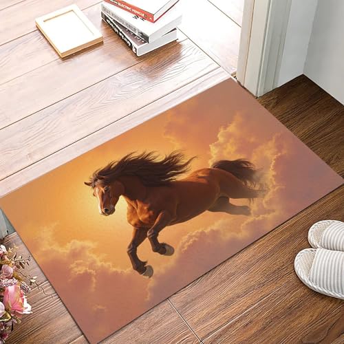 Felpudo de entrada lavable 45x75 cm: tapete antideslizante para pasillo y exterior 2