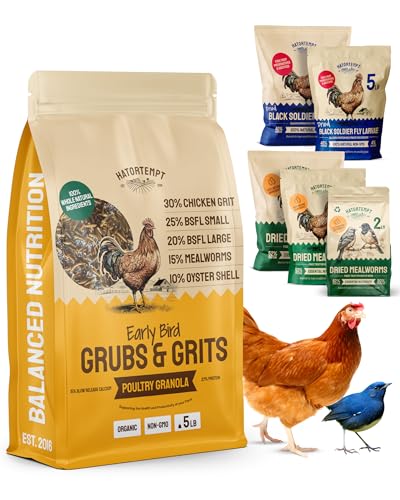 Hatortempt 5lb Grubs & Grits Organic Chicken Feed - 3 Grub Blend with Oyster Shells & Grits - Dried Mealworms for Chickens Plus Large & Small Black Soldier Fly Larvae - Food Designed for Foraging