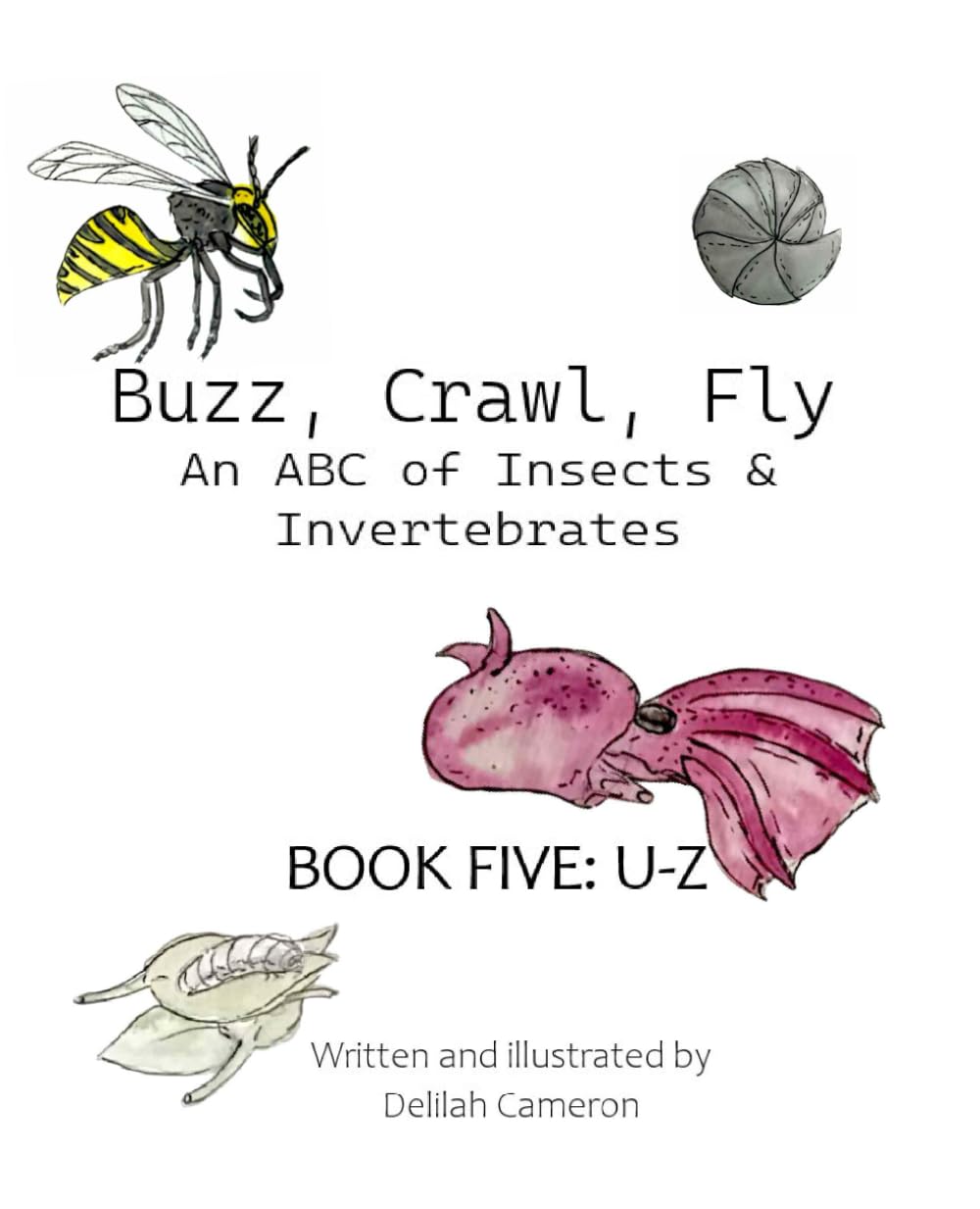 Buzz, Crawl, Fly - An ABC of Insects & Invertebrates: Book Five: U-Z