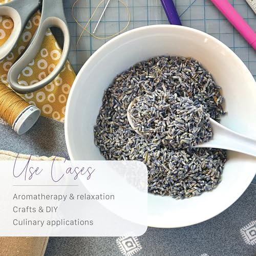 French Lavender Buds Natural Dried Flowers miniatura 2