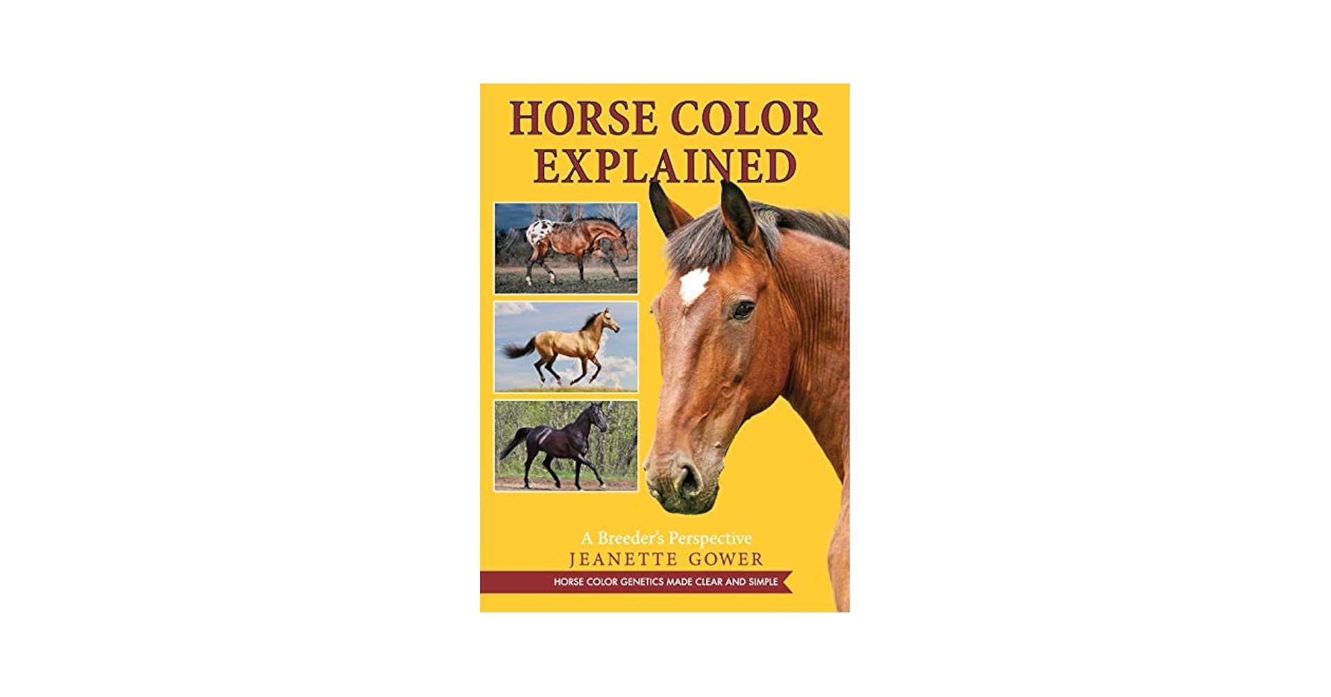 Horse Breeds&Breeding-Jane Kidd 洋書 Horse Breeds&Breeding-Jane Kidd 洋書 Horse Breeds&Breeding
