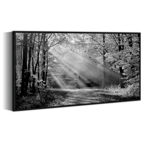 Black White Forest Wall Art - Sunset Landscape Framed Canvas