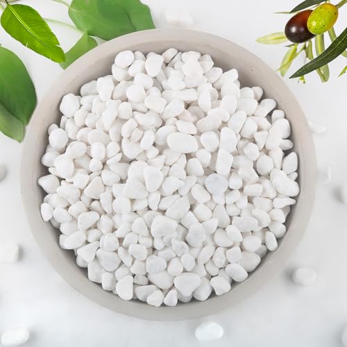 5Kg White Rocks for Plants 1.0-5.0cm White Pebbles Decorative Stones for Vases Small Aquarium Gravel for Fish Tank Garden Rocks for Potted Plants & Home Decor (2.5-5.0cm)