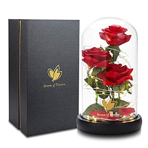 Beautyandthebeastroseclassicredrosewithledlightsandfallingpetalsgiftsforwomenbirthdaygiftsformomlightuproseinglassdomeflowergiftsforher Urban Country Home Decor Beauty and the beast rose classic red rose with led lights and falling petals gifts for women birthday gifts for mom light up rose in glass dome flower gifts for her urban country home decor