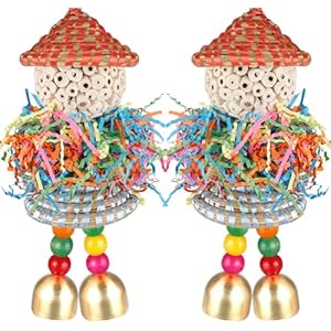 BBjinronjy 2PCS Bird Toys Parrot Foraging Shredder Hanging Toys Sola Balls with Bell for Small Parrots Parakeets Cockatiel Conures Love Birds Budgie Cage Toy