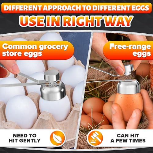Stainless Steel Egg Topper Cutter