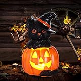 Halloween Jack O Lanterns, Resin Pumpkins with Black Cat Wear Witch Hat, Vintage Halloween Decorations Lights Battery Powered, Fall Halloween Pumpkin Decor, Halloween Table Decorations for Kids Room