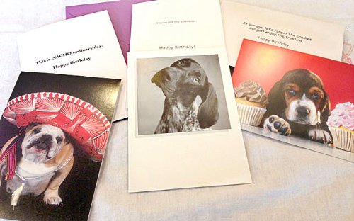 Bulk Savings-40 Funny Birthday Cards-Styles May Vary-Great For Mom,,Grandchildren,Grandma,Grandpa,Wife, And Relatives- Styles May Vary #TOP2