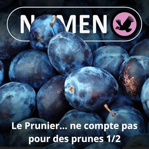 S05E20 Le Prunier... ne compte pas pour des prunes (1/2)