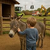 Das schönste Ausflugsziel (Ballade)
