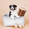 ZippyPaws-Woodland-Friends-Burrow-Interactive-Dog-Toys-Hide-and-Seek-Dog-Toys-and-Puppy-Toys-Colorful-Squeaky-Dog-Toys-and-Plush-Dog-Puzzles-Chipmunks-n-Log Colorful Squeaky Dog Toys
