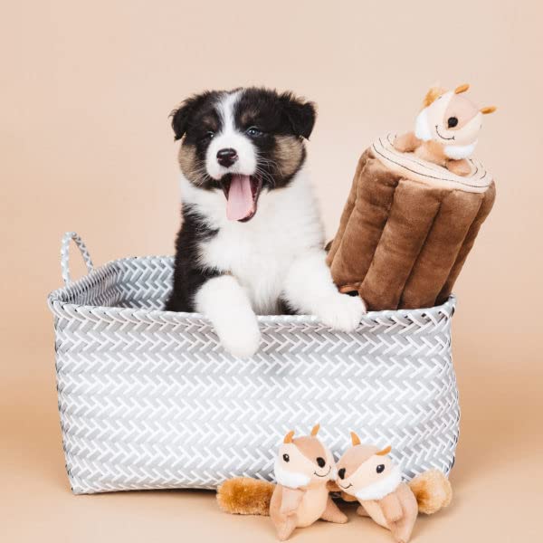 ZippyPaws-Woodland-Friends-Burrow-Interactive-Dog-Toys-Hide-and-Seek-Dog-Toys-and-Puppy-Toys-Colorful-Squeaky-Dog-Toys-and-Plush-Dog-Puzzles-Chipmunks-n-Log Colorful Squeaky Dog Toys