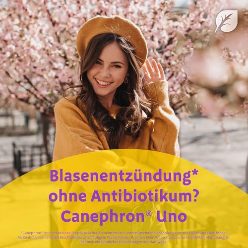 Canephron® Uno – 4-fache Wirkung bei Blasenentzündung*: bei Schmerzen, Krämpfen, Bakterien und Entzündung, mit einzigartiger Heilpflanzen-Kombination, 60 überzogene Tabletten