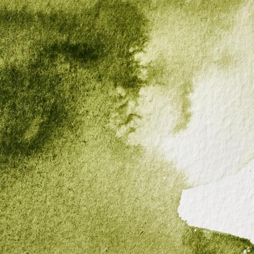 Image of Winsor & Newton Professional Water Color with Half Pan, Olive Green