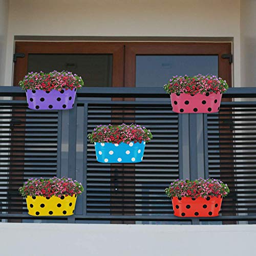 Trendy home Home Black Dotted Oval Shape Metal Flower Pot for Hanging in Balcony Plants Garden Decor (Pack of 3) Multicolor