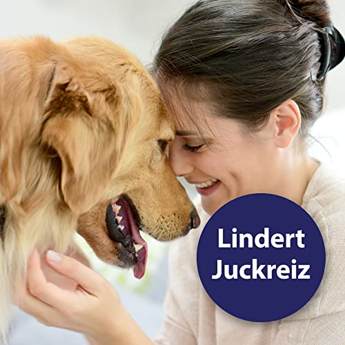 Canosept Ohrreiniger für Hunde 125ml - Lösung zur Ohrenpflege & Hunde Ohrenreinger & Löst Schmutz und natürliche Rückstände im Hundeohr - Ohrentropfen für Hunde - Hund Ohrenentzündung