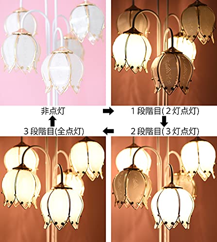 Amazon.co.jp : BeBe' Import フロアランプ アンティーク シェード