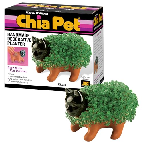 Chia Pet Kitten with Seed Pack Decorative Pottery Planter Easy to Do and Fun to Grow Novelty Gift Perfect for Any Occasion