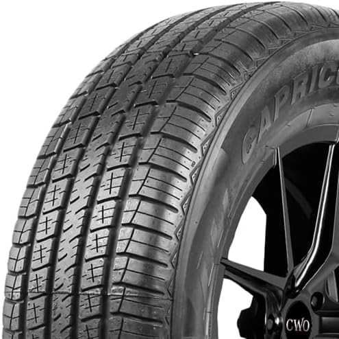 Evoluxx Capricorn 4X4 HP Tire 215/70R16 100H