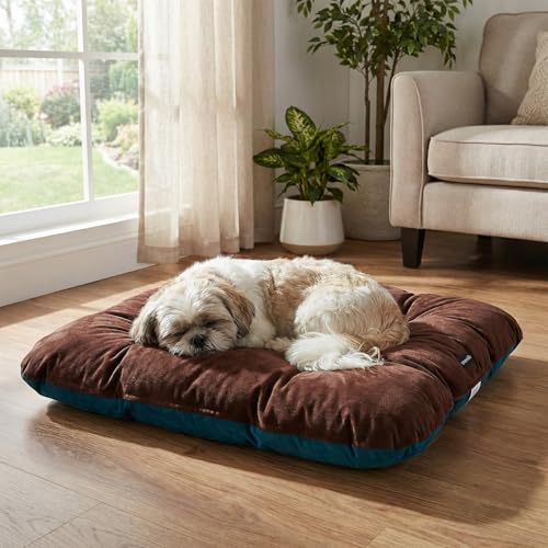 Image of Amazon Basics Pet Bed | Small | Reversible Premium Velvet Pet Bed for Cats & Small Dogs (Pug, Shih Tzu, Dachshund) | Soft & Durable | Coffee & Light Blue | 63 x 63 x 7 cm
