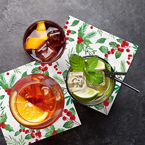 Christmas Party Supplies, Christmas Seasonal Holly Paper Beverage Napkins, Paper Cocktail Napkins For Merry Christmas Party And Holiday Party Decorations #TOP4