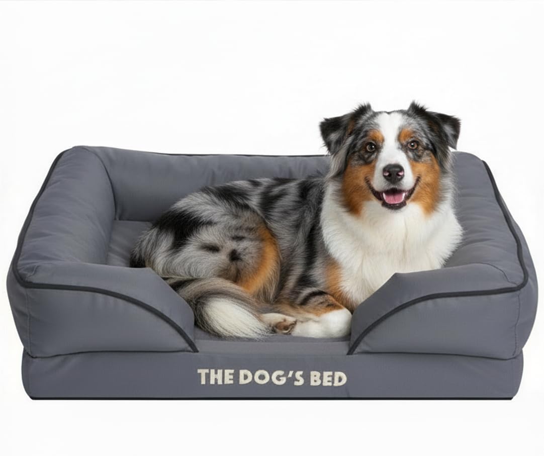 The Dog’s Bed Orthopaedic Dog Bed with Bolsters, Removable Cover, CertiPUR-Certified Foam, Oxford Fabric, Grey with Black Trim, Large