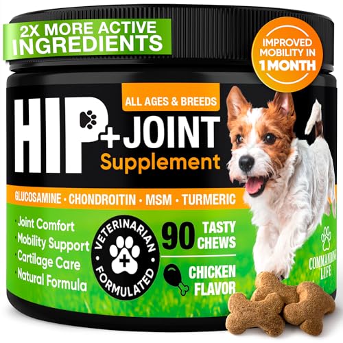 Glucosamine & Chondroitin for Dogs – Hip and Joint Supplement Chews with MSM, Vitamin C, Turmeric, Omega-3 for All Breeds – Pain & Mobility Support – 2-Month Supply – Chicken Flavor