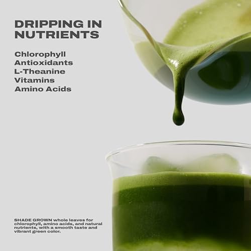 MAISON MATCHA Organic Ceremonial Grade Matcha Powder