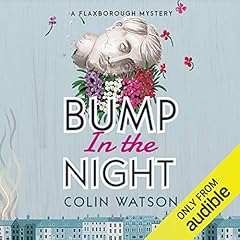 Bump in the Night cover art