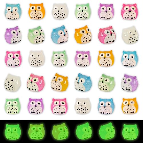 Image of FEXIA 30pcs Mini Resin Owls Collection Mini Resin Animals to Hide Tiny Glow in the Dark Figures for Aquariums Dollhouses Fairy Garden Accessories
