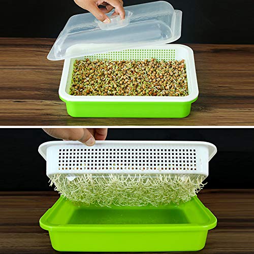 もやし栽培機 もやし栽培キット 水耕栽培器 もやし家庭菜園 スプラウト栽培 DIY BPAフリーPP無土壌 大容量 蓋付き 32.5 *26 *11.5cm 7枚目