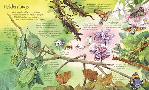 Big Book of Big Bugs (Big Books) - Image 4