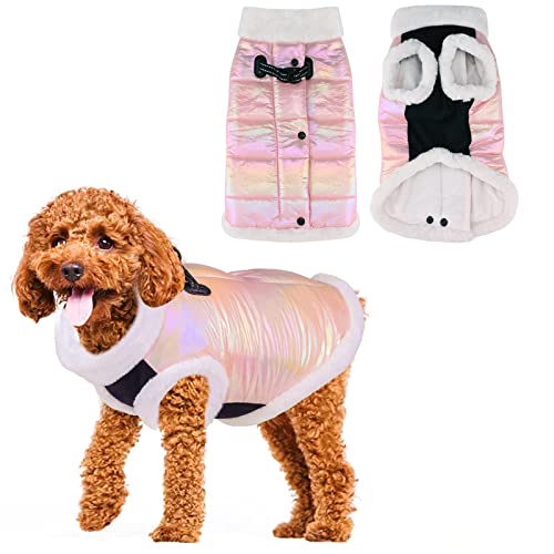 Norbi Hundemantel Mit Geschirr – Reflektierend, Für Kleine Hunde, Winter, Wasserabweisend