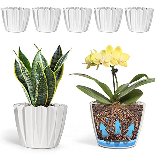 T4U Plastic Plant Pots For Indoor Plants - 6 Inch Self Watering Planter Small Flower Pot Beige, Decorative Nursery Planting Pot For Snake Plant, African Violet, Aloe And Most House Plants, Pack Of 6 #TOP19