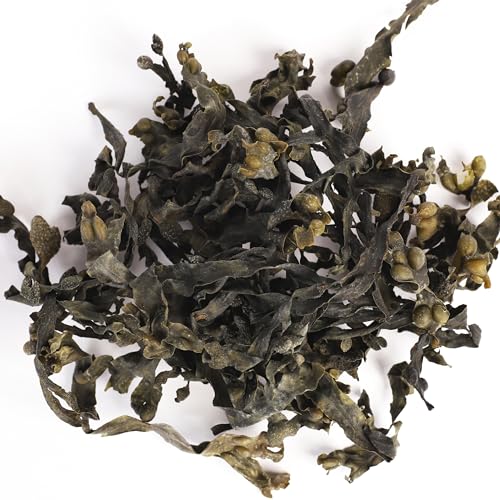 VITAMINSEA Bladderwrack Dried Seaweed | Wild North Atlantic Seaweed for Snacking Seasoning Soups & Salads | Rich in Vitamins Minerals & Antioxidants Perfect for Thyroid Support | Whole Leaf (4 oz)