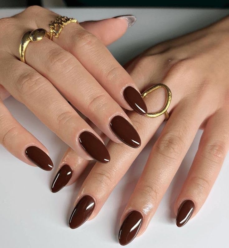 Set Of 14Pc, Press-Ons, Glossy Dark Brown Long Almond Shaped Nail Extentions With Free Glue Kit, Artificial Nails for Women And Girls-image-10
