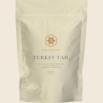 Turkey Tail Mushroom Extract Powder