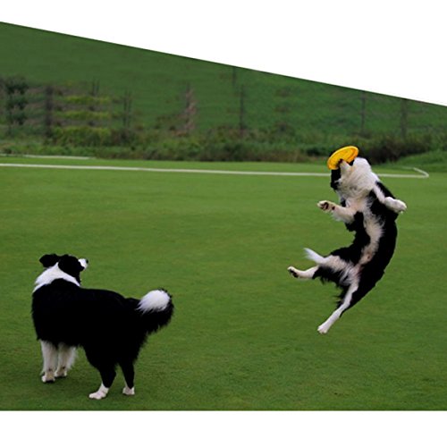 Milya Set di 6 dischi in silicone per cani, per