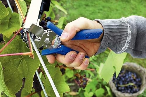 Rapid Weinrebenzangen-Set – LIG175 mit Magazin und 5.000 C85 Weinklammern für professionelle Pflanzenbefestigung