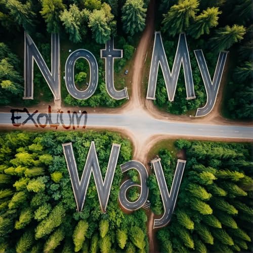 Not My Way (acoustic)